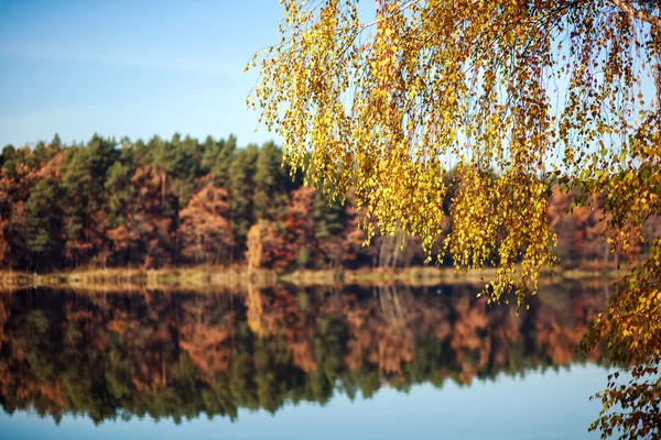 Jesień las odbicie w jeziorze, płytkiej głębi ostrości — Zdjęcie stockowe