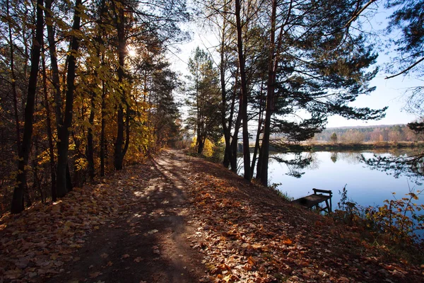 Vägen i skogen vid sjön på bakgrund av inställningen solen — Stockfoto