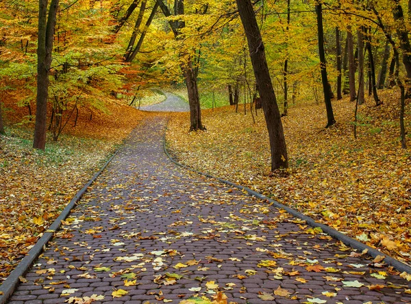 Sendero de piedra en el parque de la ciudad de otoño con hojas amarillas caídas —  Fotos de Stock