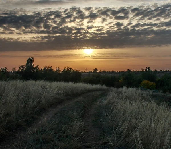 Camino Vacío Campo Rural Que Conduce Bosque Árboles Fondo Del — Foto de Stock