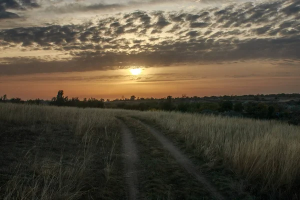 Leere Straße Einem Feld Auf Dem Land Die Einem Wald — Stockfoto