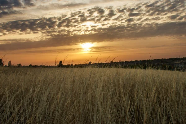 Camino Vacío Campo Rural Que Conduce Bosque Árboles Fondo Del — Foto de Stock