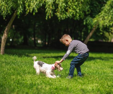 Köpekle oynayan çocuk çimenlerin üzerindeki yeşil bir parka şişe fırlatıyor.