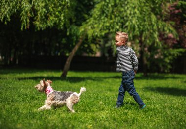 Köpekle oynayan çocuk çimenlerin üzerindeki yeşil bir parka şişe fırlatıyor.