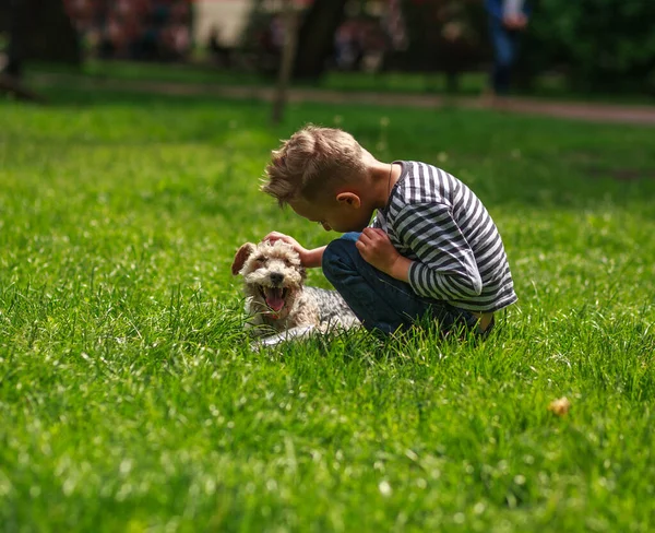 Kleine Jongen Spelen Met Een Hond Het Groene Grasveld Van — Stockfoto