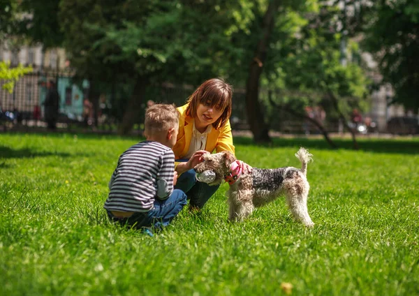 Jovem Mãe Família Com Filho Passam Tempo Juntos Treinando Cachorro — Fotografia de Stock