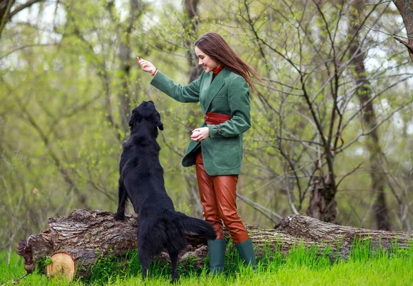 Femeie Tânără Într Țară Stil Haine Exerciții Câine Negru Retriever — Fotografie, imagine de stoc