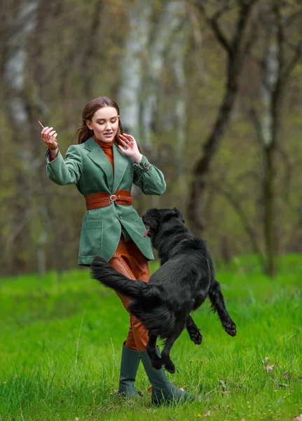 Tânăra Femeie Modă Stil Țară Antrenând Câine Retriever Negru Într — Fotografie, imagine de stoc