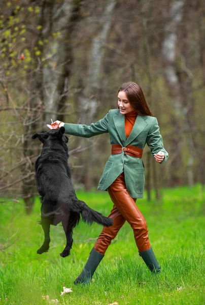 Giovane Donna Alla Moda Stile Country Che Allena Cane Recupero — Foto Stock