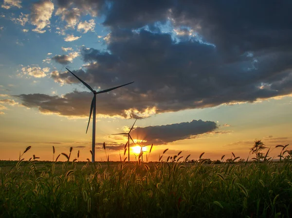 Weg Tussen Windmolens Achtergrond Van Een Dramatische Zonsondergang Het Midden Rechtenvrije Stockfoto's