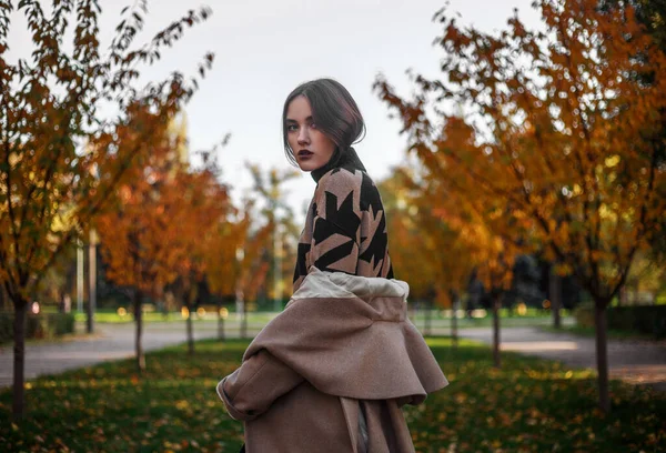 Girl Sweater Coat Background Autumn Park Yellowed Leaves Tree Fashion — Stock Photo, Image