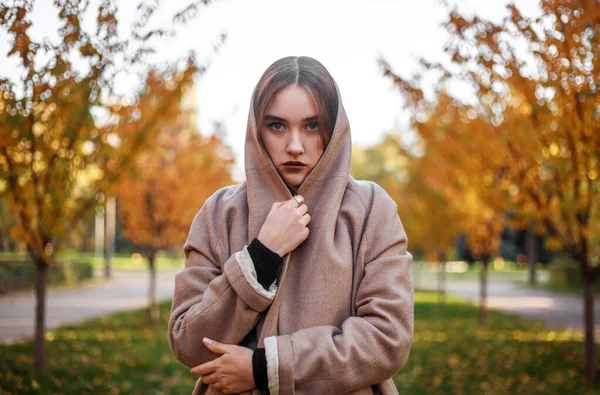 Девушка Свитере Пальто Фоне Осеннего Парка Пожелтевшие Листья Дереве Модный — стоковое фото