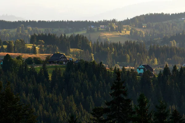 Berglandschap Achtergrond Landelijk Dorp Nederzettingen Naaldbossen Velden Toerisme Reizen Oekraïense — Stockfoto