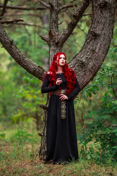 Mutige Junge Frau Mit Langen Roten Haaren Bild Einer Fabelhaften — Stockfoto