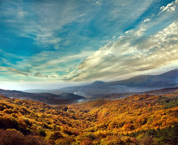 Гірський пейзаж, осінній ліс на схилі пагорба, під небом — стокове фото