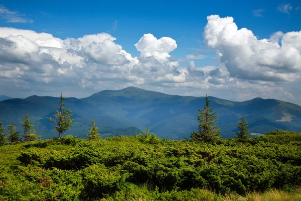 Paysage de montagne avec des plantes vertes sur un fond de ciel bleu — Photo