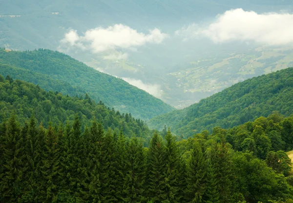 Dağlar, doğa arka plan manzara yeşil ormanlarında — Stok fotoğraf