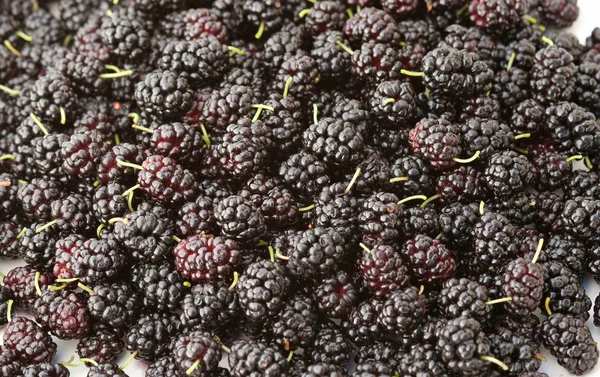 Свежая органическая шелковица, крупным планом фоновые ягоды — стоковое фото