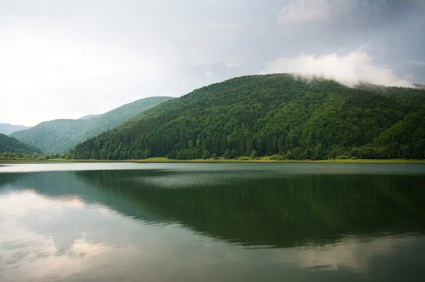 Floresta verde no lago da montanha com nuvens de tempestade dramáticas — Fotografia de Stock