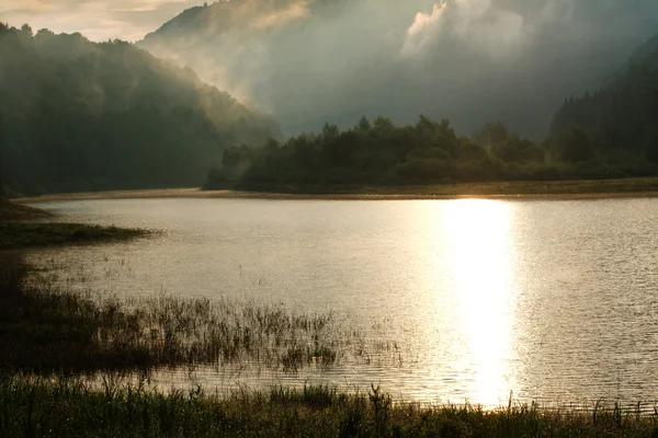 Mistige lake in het bos in Bergen, in de stralen van de zon dawn — Stockfoto