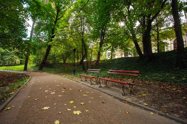 Gün batımında yolları yürüme ile kentsel yeşil park