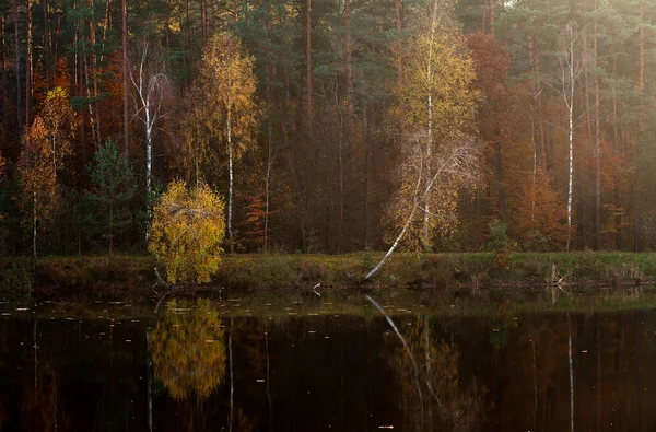 Mystique forêt d'automne colorée près du lac au coucher du soleil — Photo