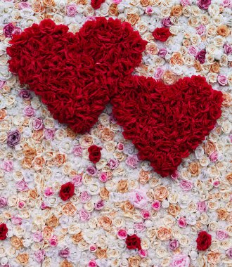 Sevgililer Günü konsepti, kırmızı ve beyaz güller, iki kalp. ...