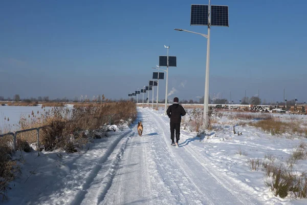 Recreatie Joggen Winter Met Een Hond Wegfotovoltaïsche Lampen — Stockfoto