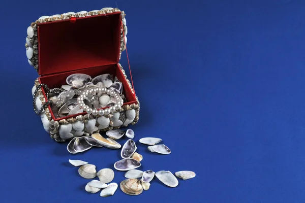 Muscheln Perlen Schmuck Einer Dekorativen Schachtel — Stockfoto