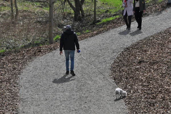 Hora Relaxar Caminhar Com Seu Cão — Fotografia de Stock