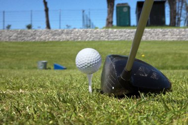 Çimlerin üzerinde bir golf topu, bir iğne ve bir sopa ...