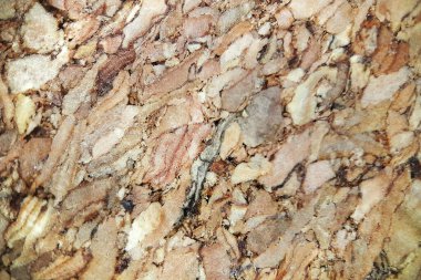 Arkaplan, basılmış mantar, makro fotoğraf ...