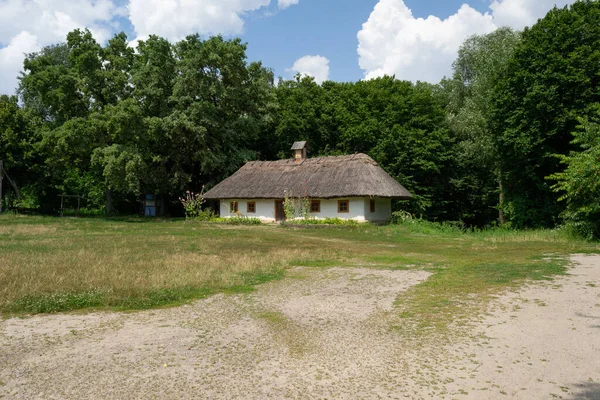 Деревенский двор с травой и деревьями возле старинного украинского загородного дома — стоковое фото