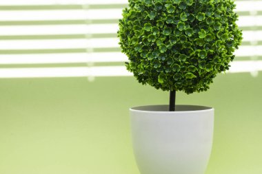 Beyaz tencere ve güneş ışığı çizgili fotoğraf yeşili yapay bitki. Çevre temaları, doğa ve tazelik ve sağlık sembolleri için zemin.