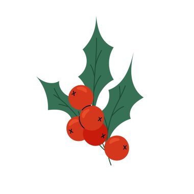 Yeşil yapraklı ve kırmızı meyveli dallı Holly. Geleneksel kış çiçekçisi. Noel dekoratif unsuru.