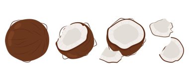 Yaz tropik meyvesi. Hindistan cevizi koy. Beyaz arka planda yarım ve hindistan cevizi parçaları var. Hindistan cevizi düz illüstrasyon.