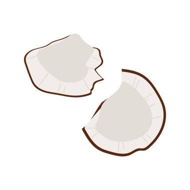 Beyaz arka planda izole edilmiş hindistan cevizi parçaları. Tropikal meyve düz çizimi.