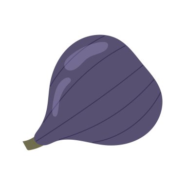 Beyaz üzerine olgun incir meyvesi. Akdeniz yemekleri, yemek malzemeleri. İlginç egzotik incir ikonu.