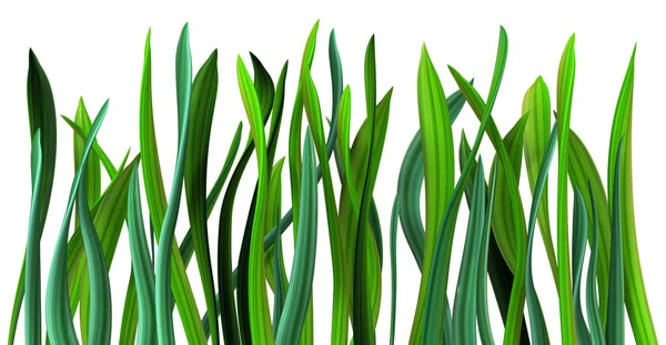 植物藤蔓绿色生长扭曲草排 3D插图 过白色 — 图库照片
