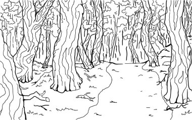 Yoğun orman patikası arka plan, vektör, yatay, siyah ve beyaz çizgileri