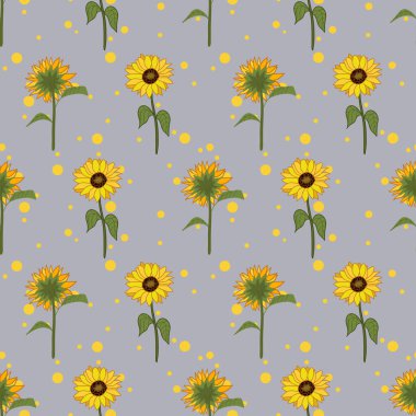 Ayçiçekleri gri arkaplanda deseni tekrarlar