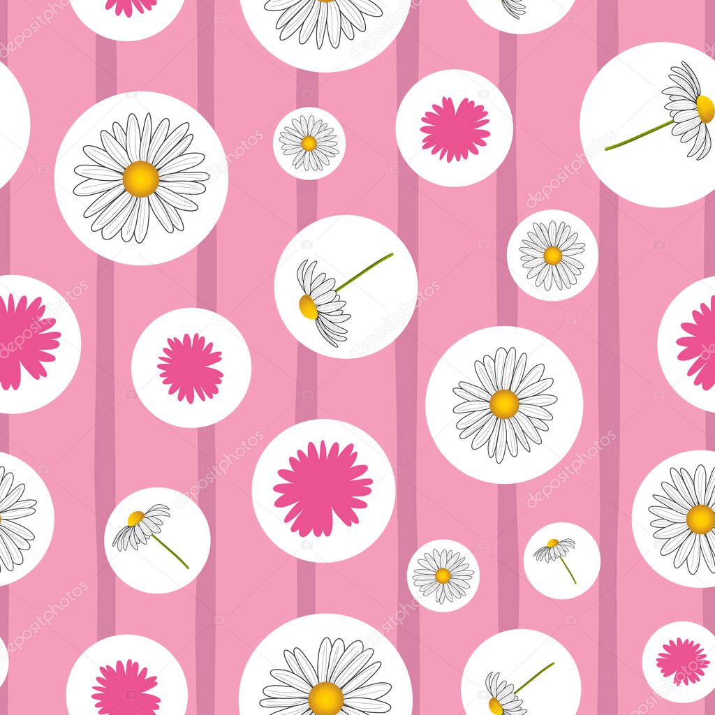 Cute daisy flower vector seamless pattern on pink stripes background and white circles