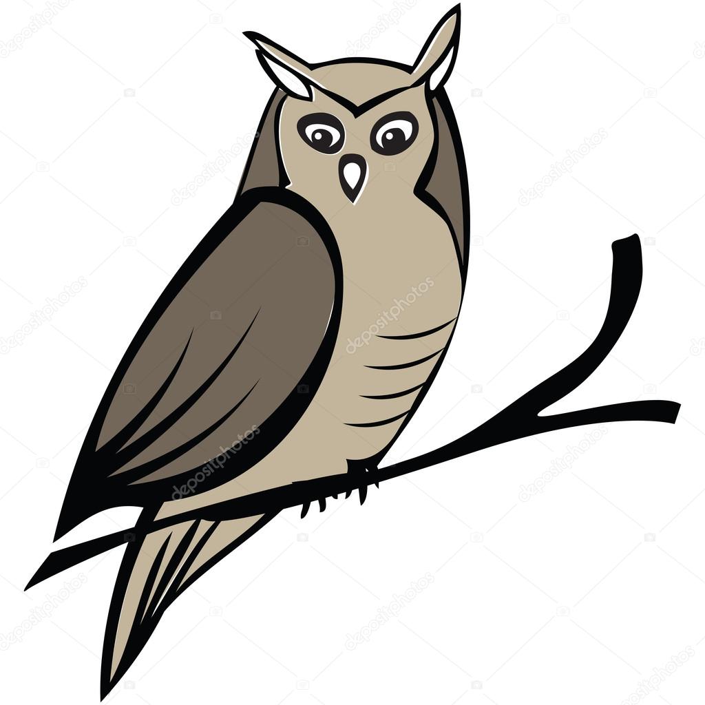 Owl on a branch illustration