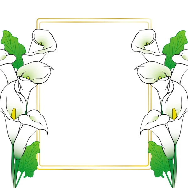 Bingkai latar belakang dengan bunga callla - Stok Vektor