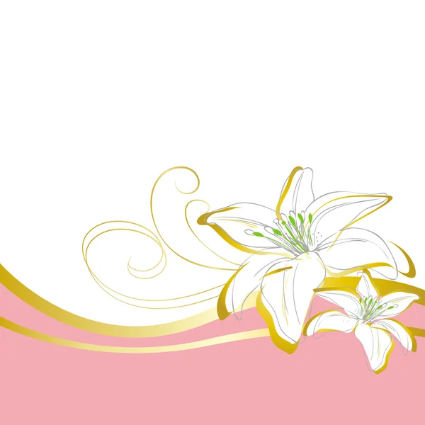 Lily bloemen zwaaien achtergrond — Stockvector