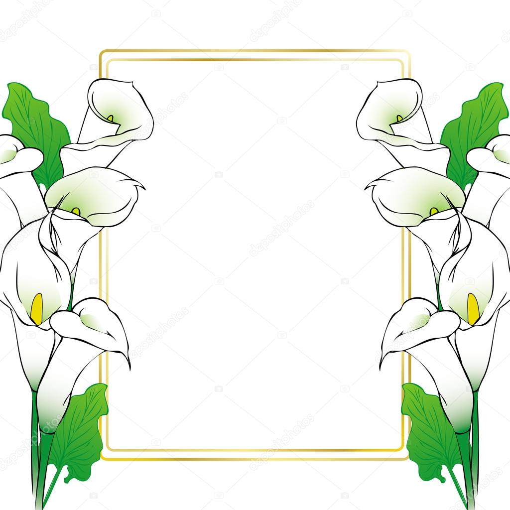 Frame background with callla flowers