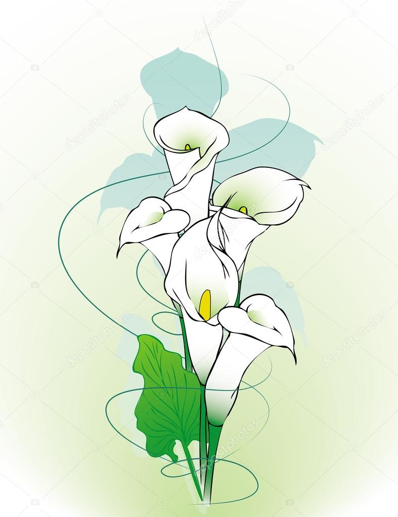 Calla lilies abstract background