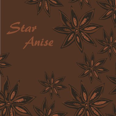 Anason baharat kroki