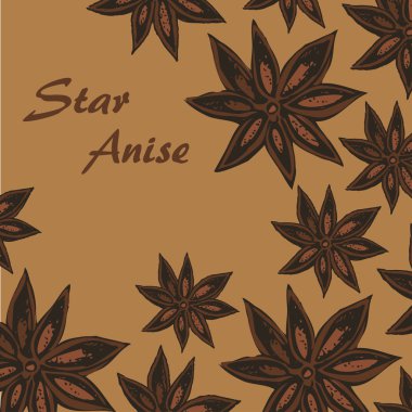 Anason baharat kroki 1