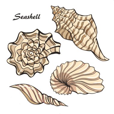 Seashell renk kümesi